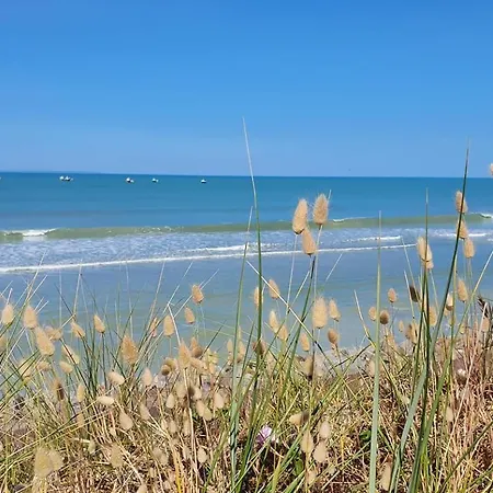 L'abri-cotier Entre Terre Et * Geffosses